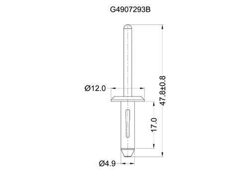 G4907293B 2D 503X350.jpg